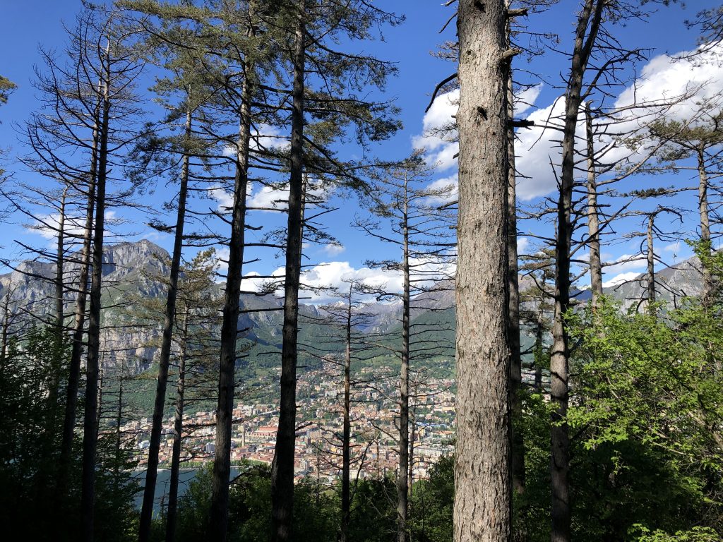 Monte Barro - Prima notte in solitaria